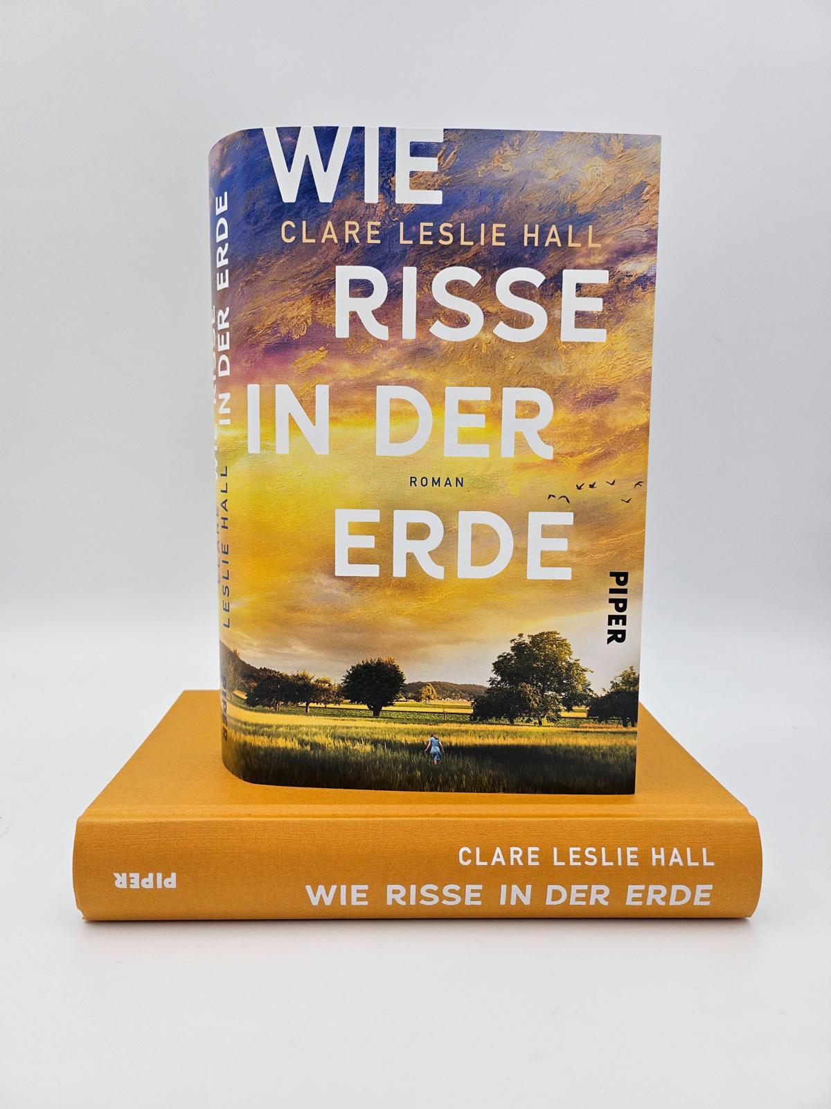 Beispielinhalt (Bild) Wie Risse in der Erde