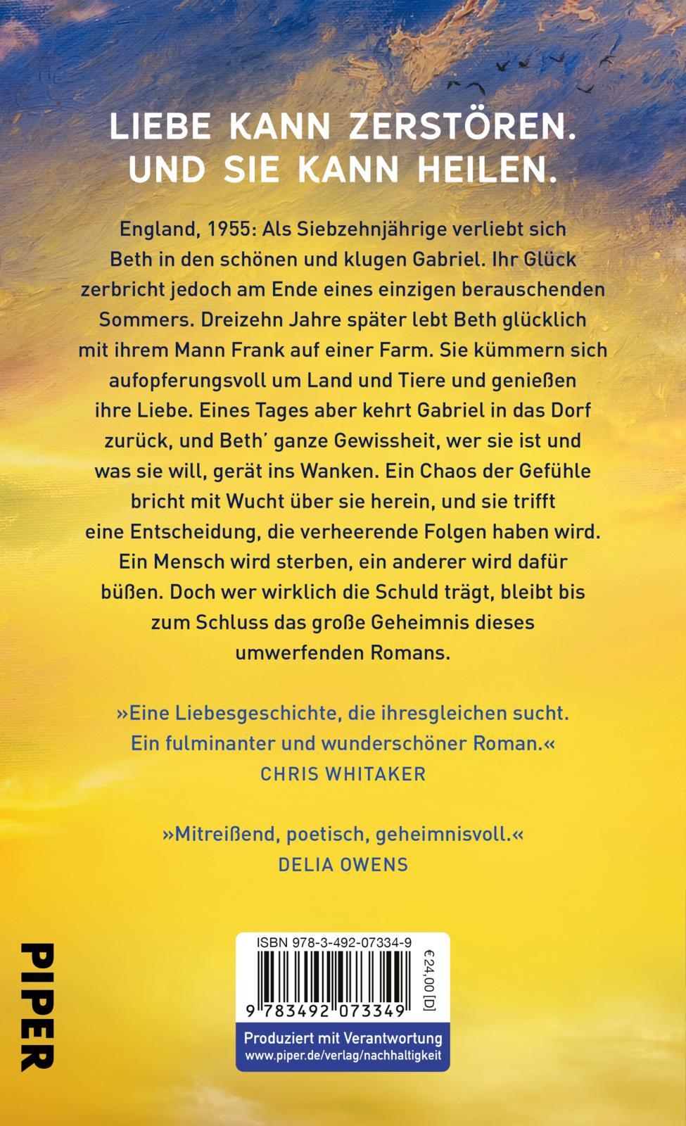 Rückseitencover Wie Risse in der Erde