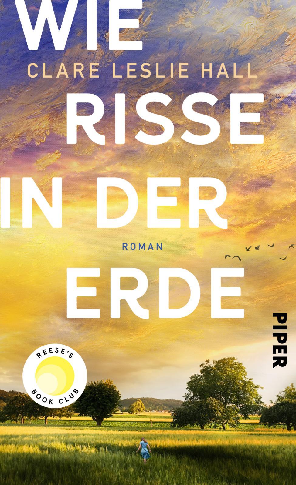 Vorderes Coverbild Wie Risse in der Erde