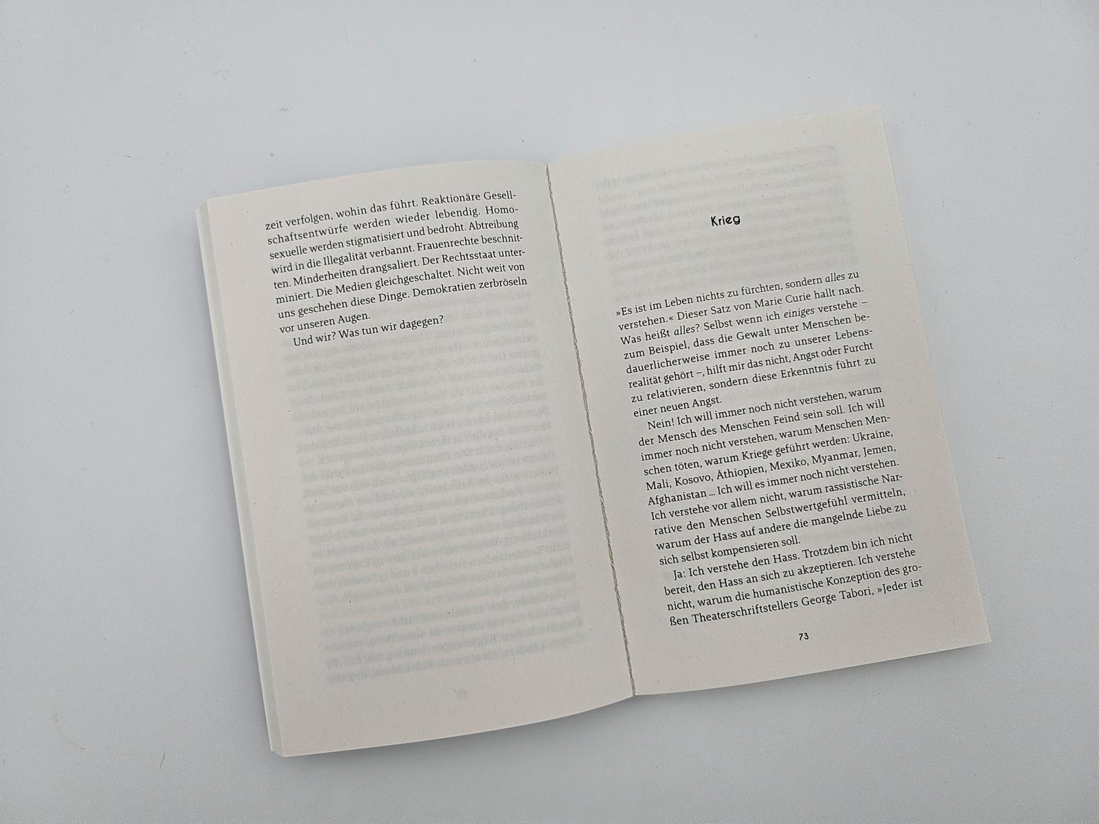 Beispielinhalt (Bild) Schlaraffenland abgebrannt