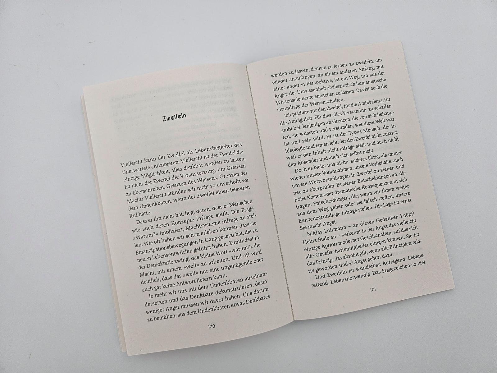 Beispielinhalt (Bild) Schlaraffenland abgebrannt