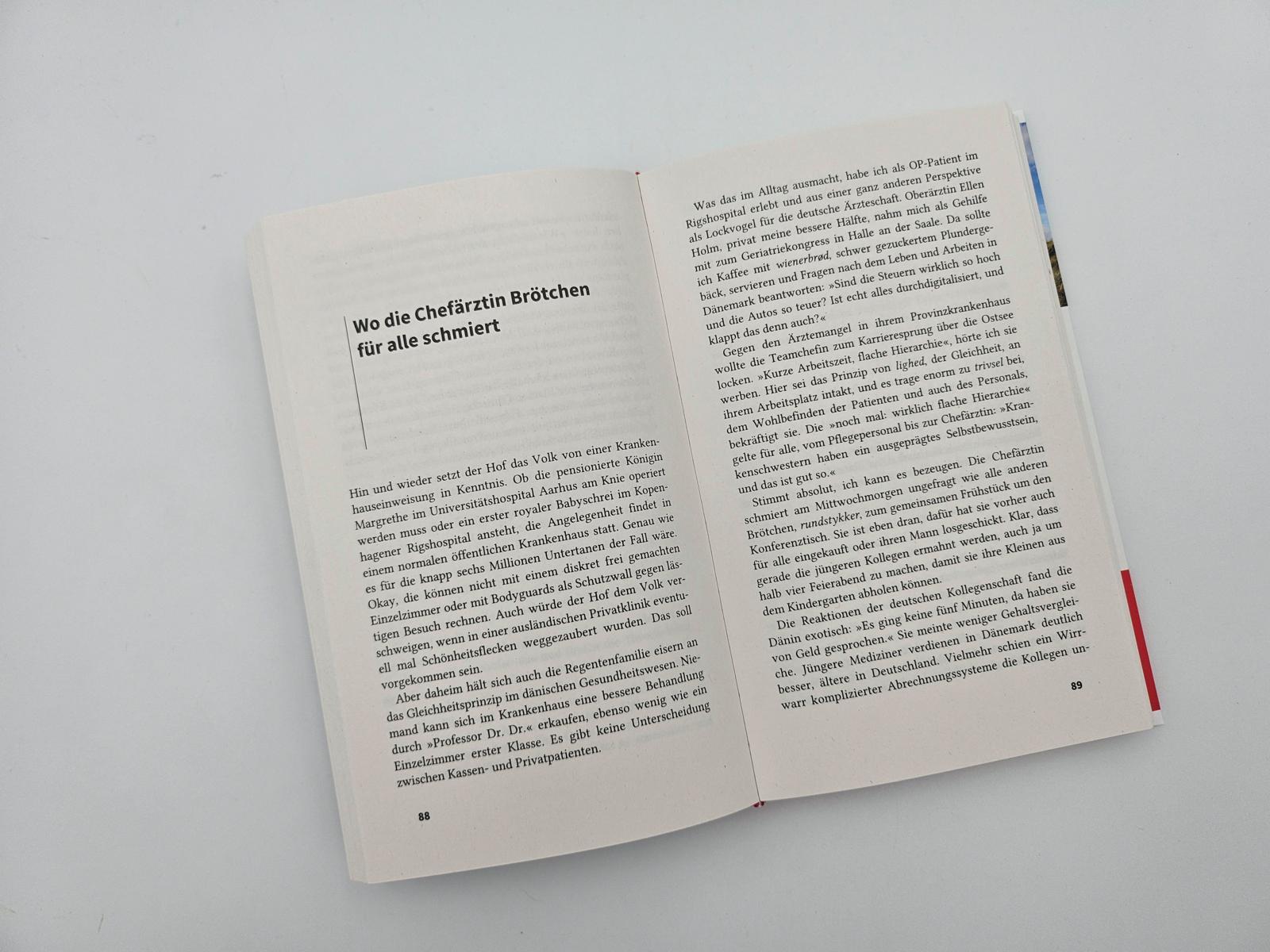 Beispielinhalt (Bild) Gebrauchsanweisung für Dänemark