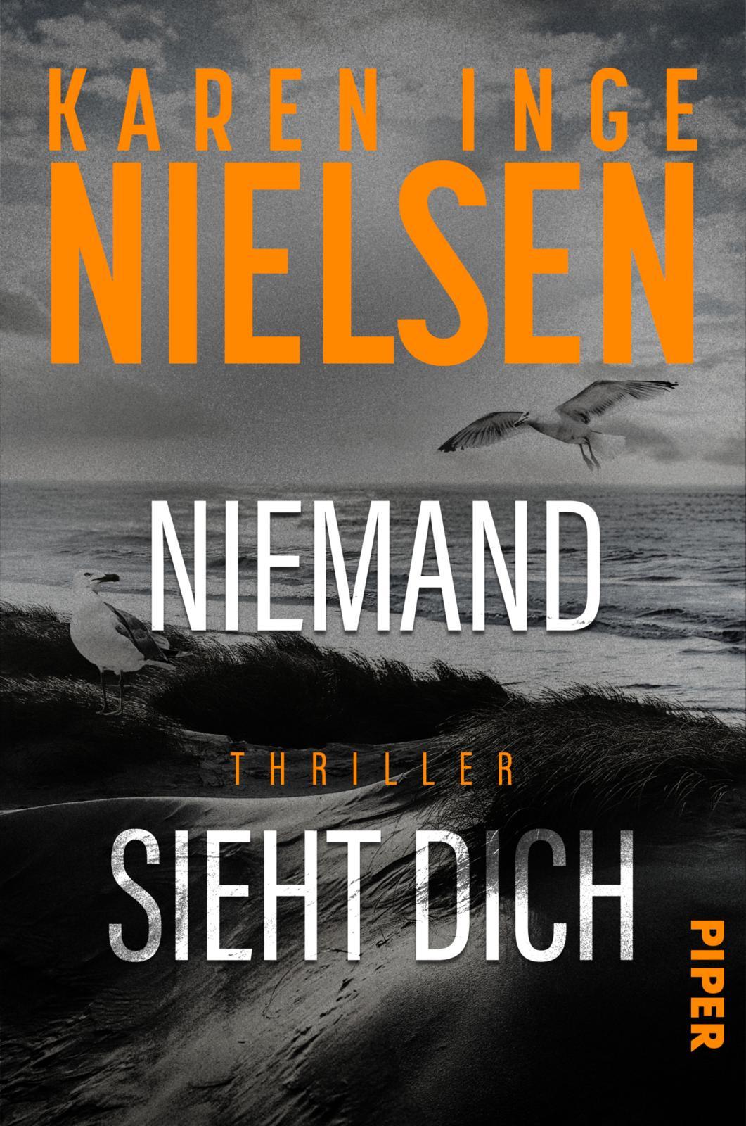 Vorderes Coverbild Niemand sieht dich