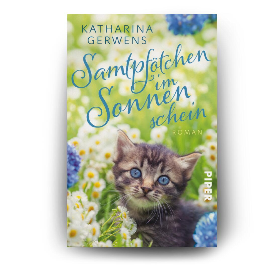 Beispielinhalt (Bild) Samtpfötchen im Sonnenschein