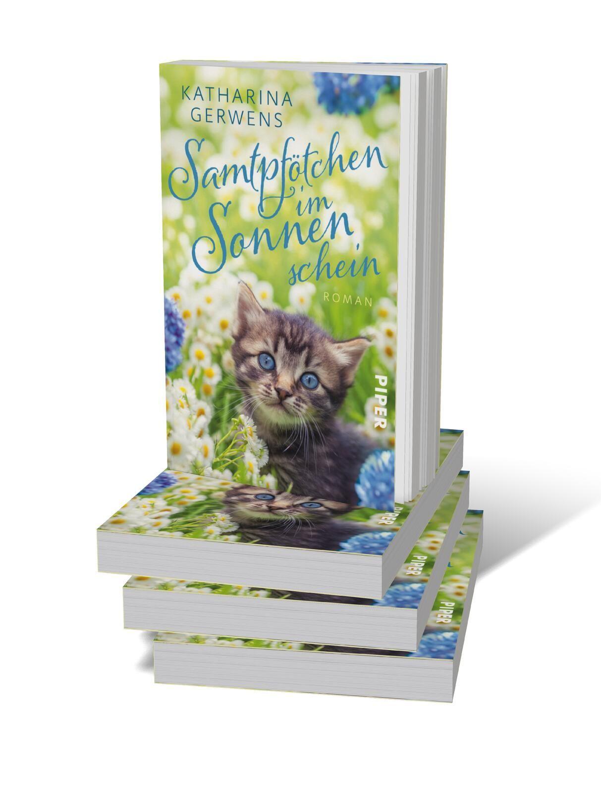 Beispielinhalt (Bild) Samtpfötchen im Sonnenschein