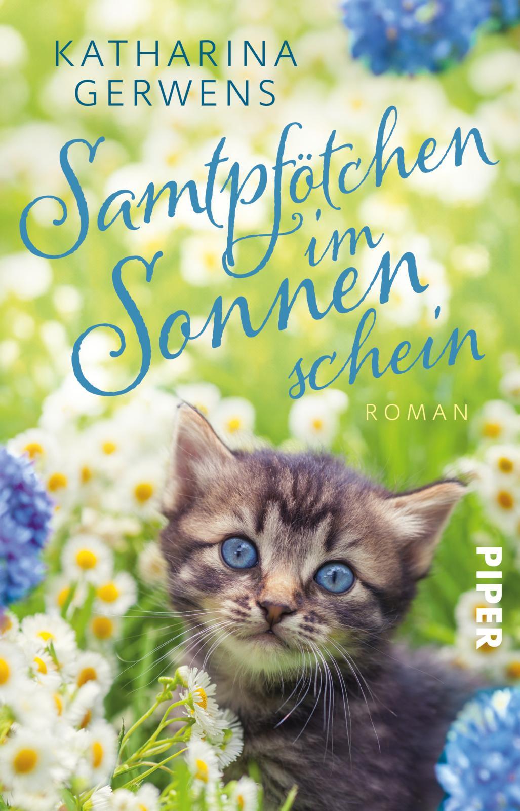 Vorderes Coverbild Samtpfötchen im Sonnenschein
