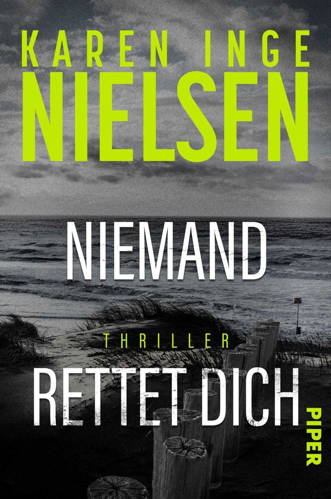 Vorderes Coverbild Niemand rettet dich