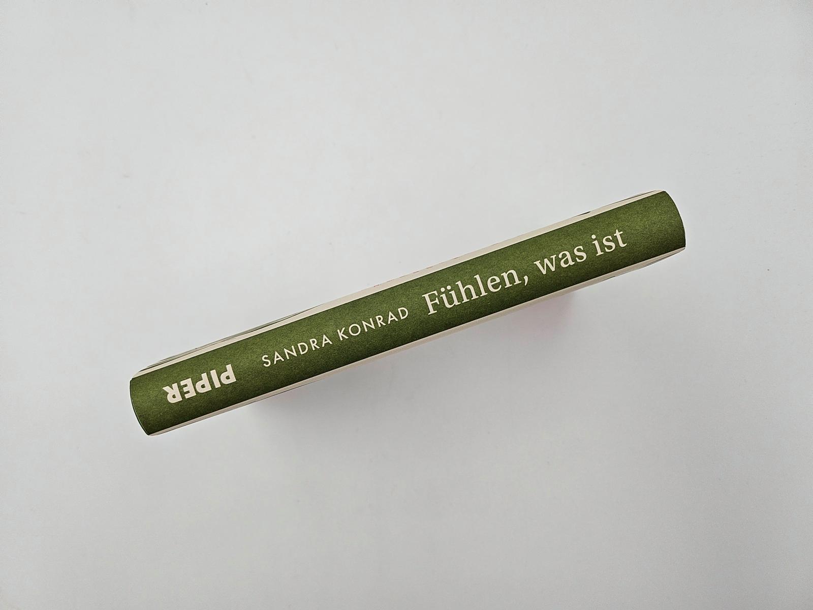 Beispielinhalt (Bild) Fühlen, was ist
