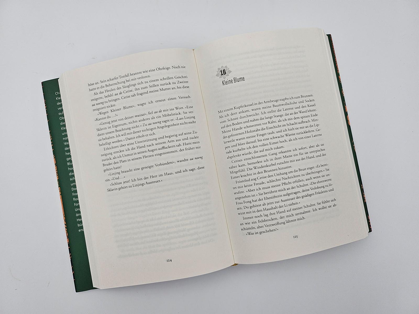 Beispielinhalt (Bild) Die Lotosschuhe