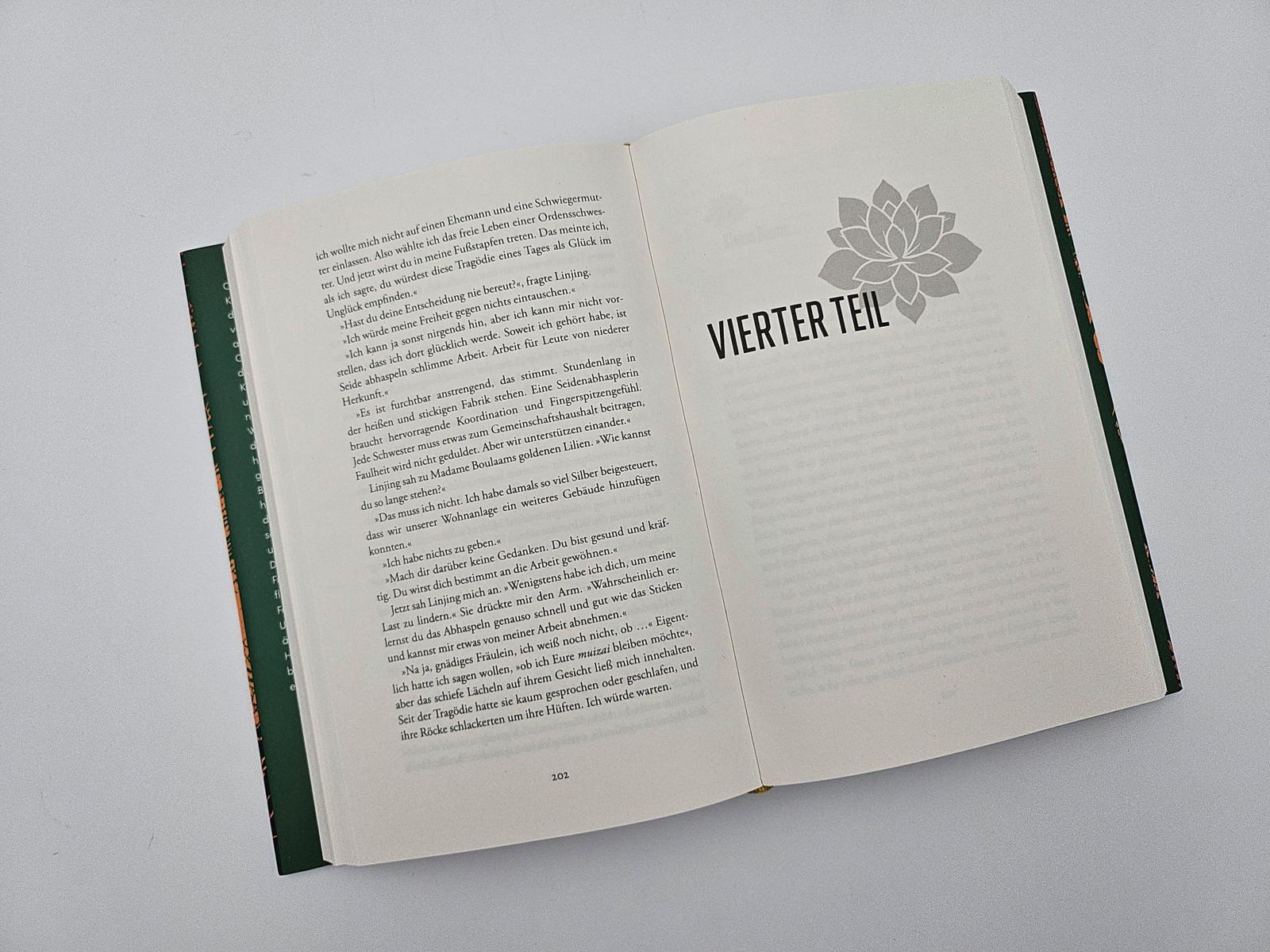 Beispielinhalt (Bild) Die Lotosschuhe