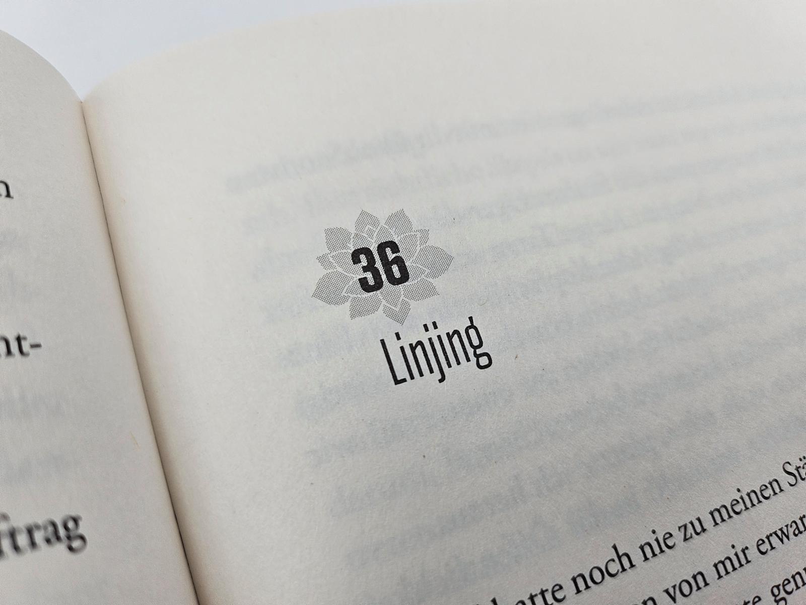 Beispielinhalt (Bild) Die Lotosschuhe