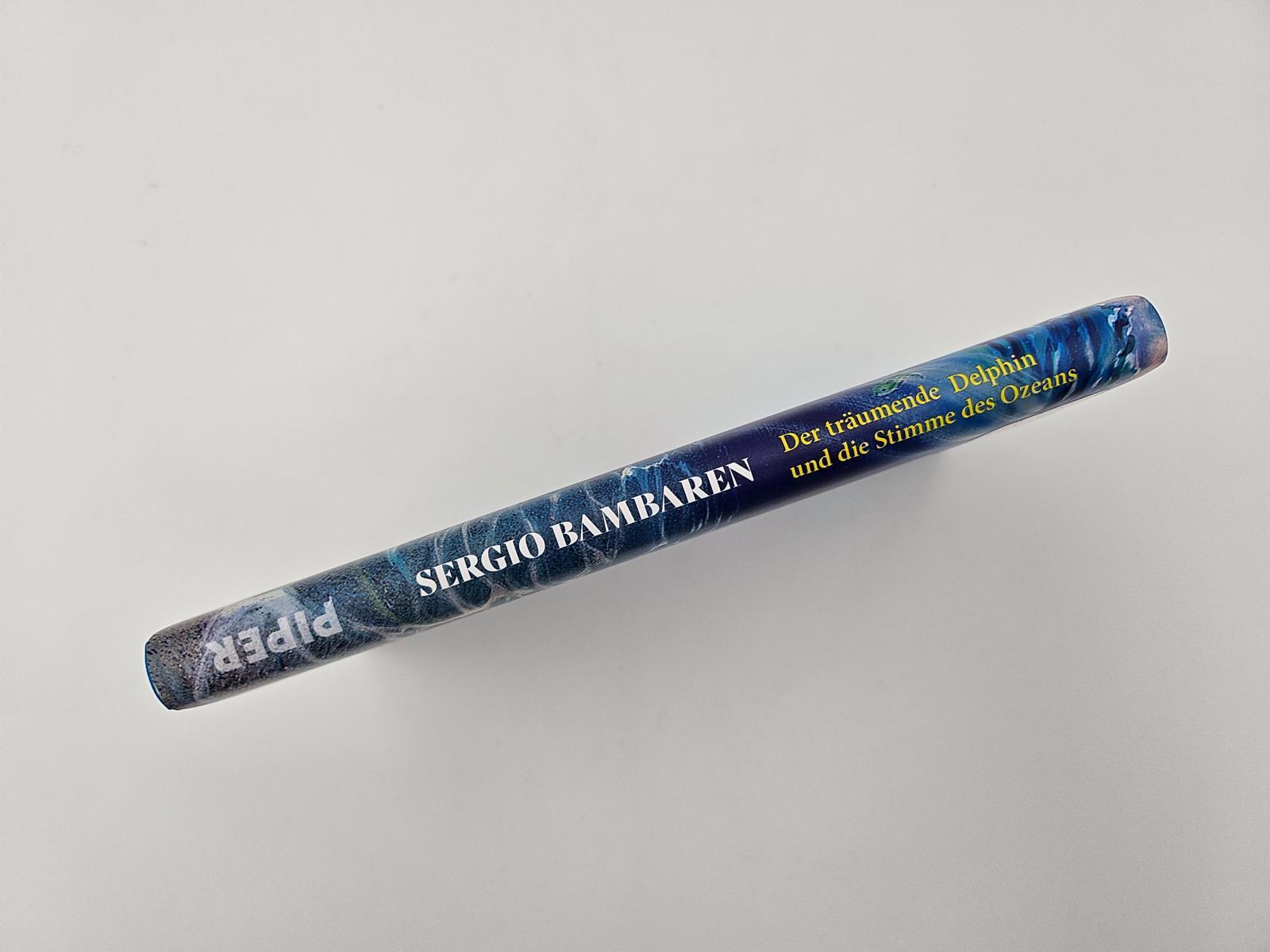 Beispielinhalt (Bild) Der träumende Delphin und die Stimme des Ozeans