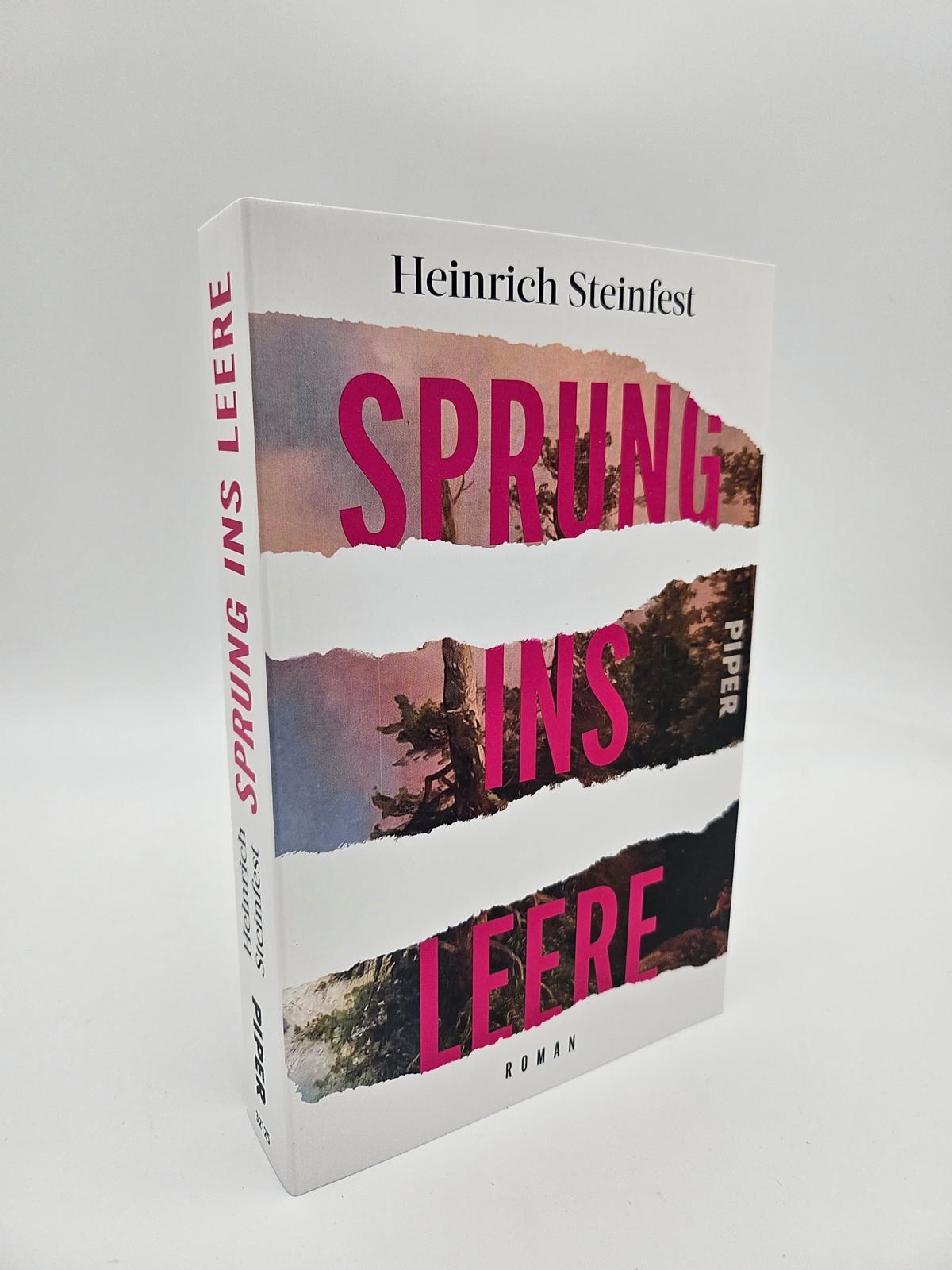 Beispielinhalt (Bild) Sprung ins Leere
