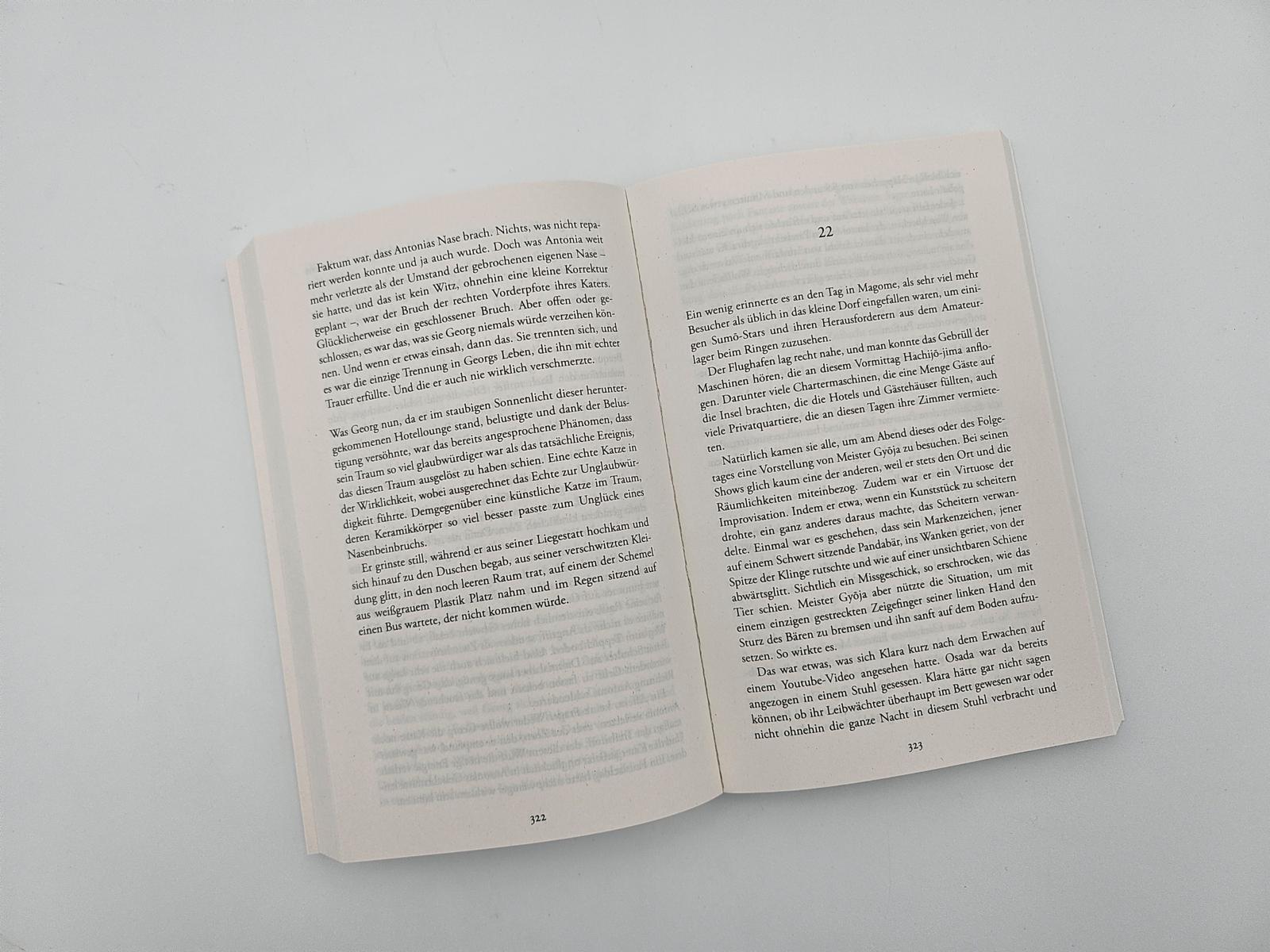 Beispielinhalt (Bild) Sprung ins Leere