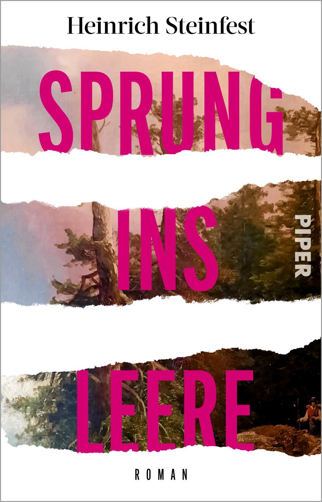Vorderes Coverbild Sprung ins Leere