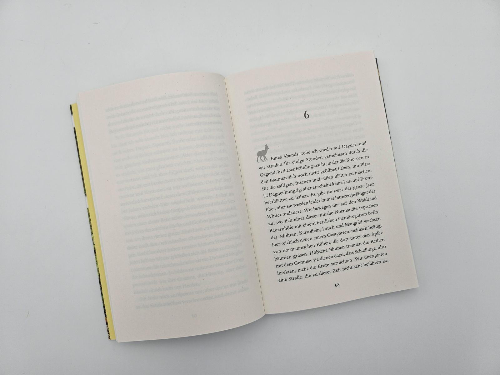 Beispielinhalt (Bild) Leben unter Rehen