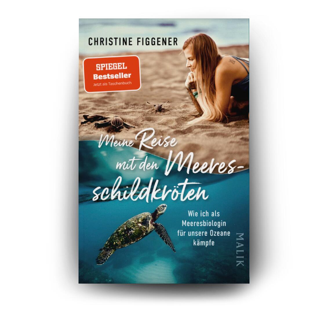 Beispielinhalt (Bild) Meine Reise mit den Meeresschildkröten