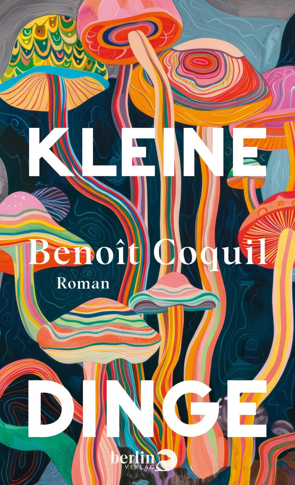Vorderes Coverbild Kleine Dinge