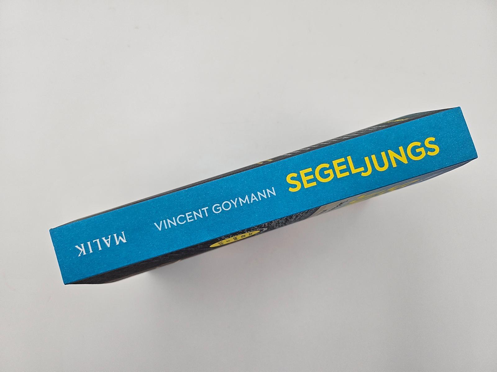 Beispielinhalt (Bild) Segeljungs