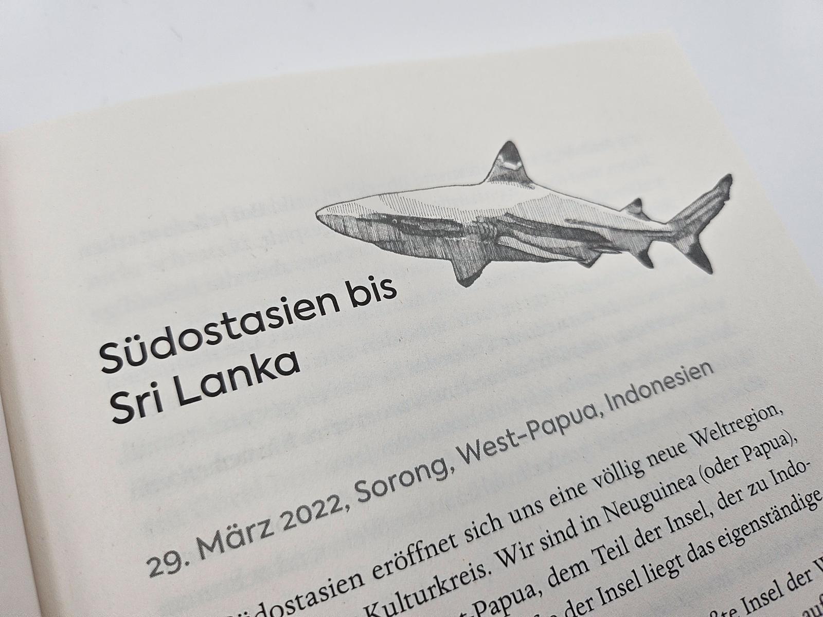 Beispielinhalt (Bild) Segeljungs