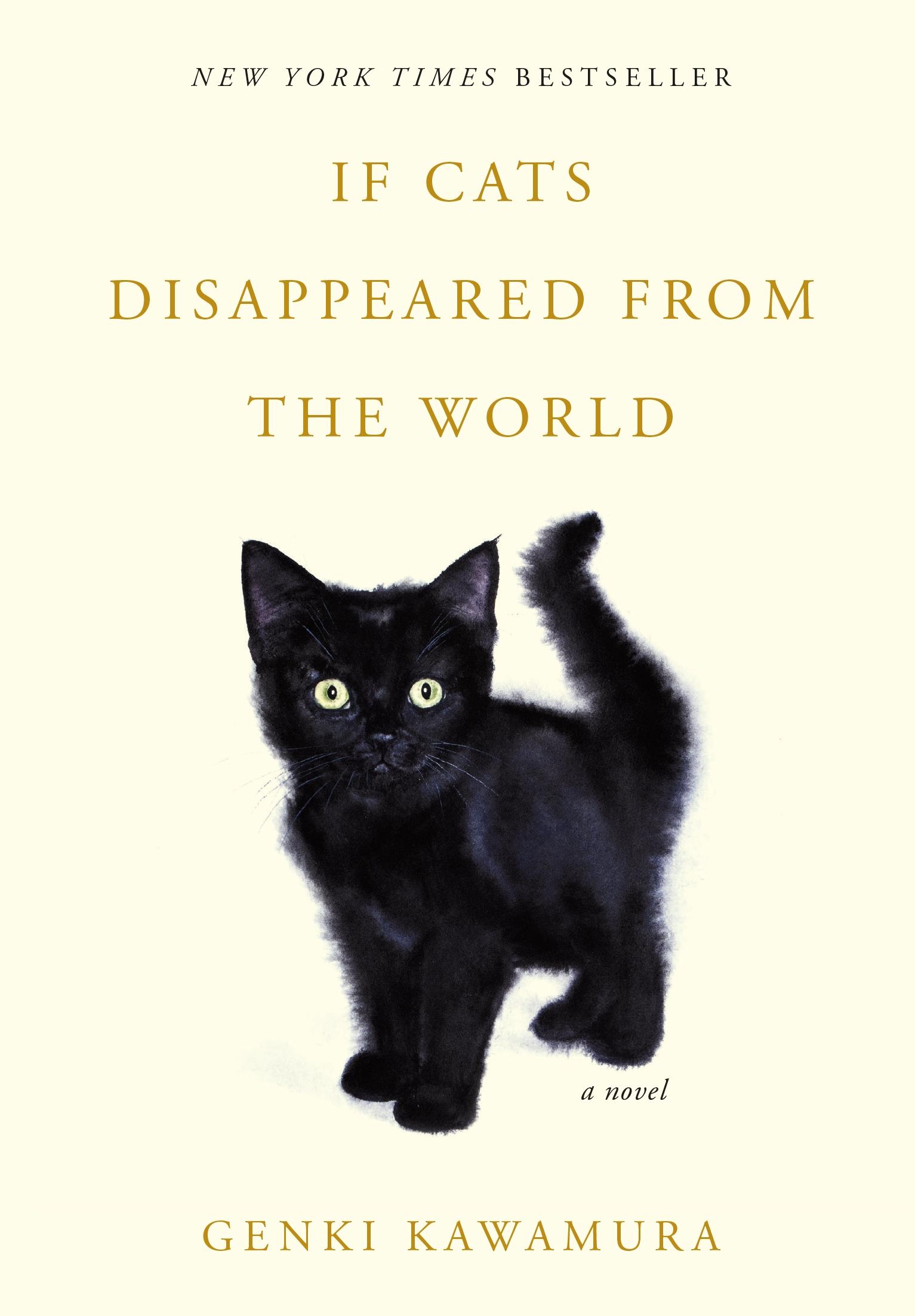 Vorderes Coverbild If Cats Disappeared from the World