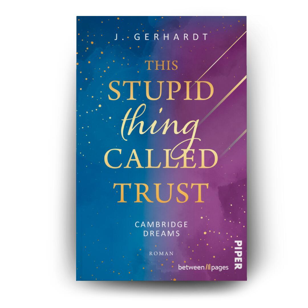 Beispielinhalt (Bild) This stupid Thing called Trust