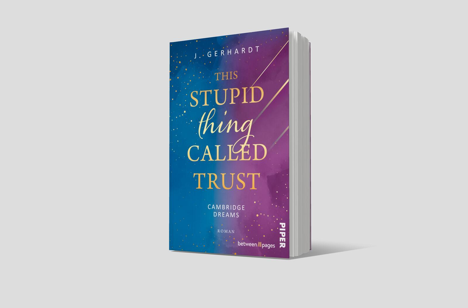 Beispielinhalt (Bild) This stupid Thing called Trust