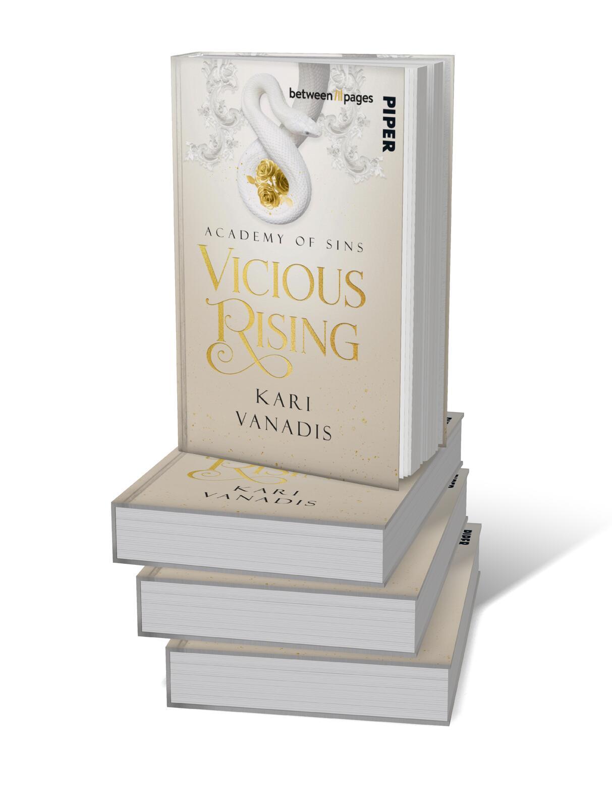 Beispielinhalt (Bild) Vicious Rising: Academy of Sins