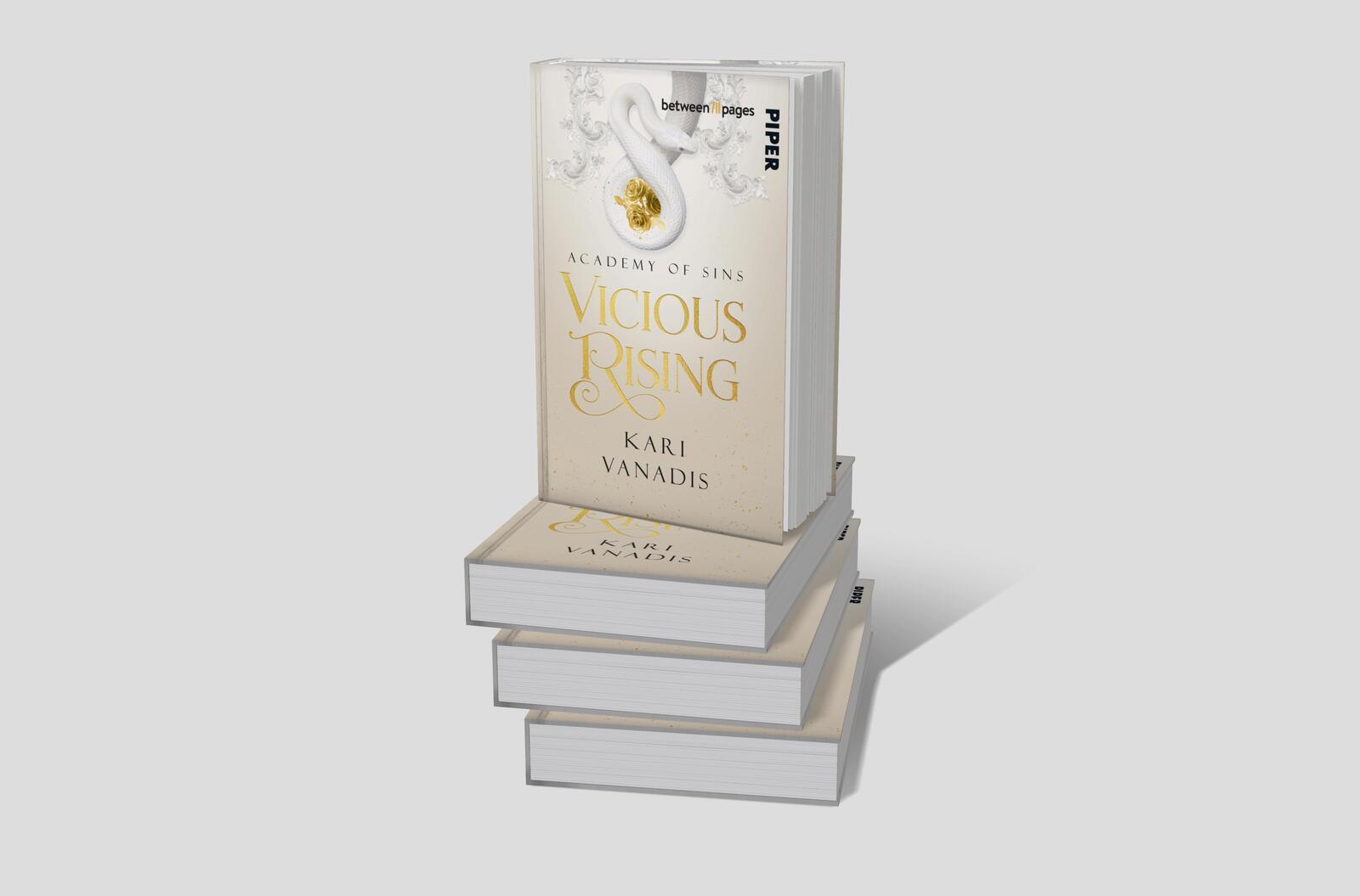 Beispielinhalt (Bild) Vicious Rising: Academy of Sins