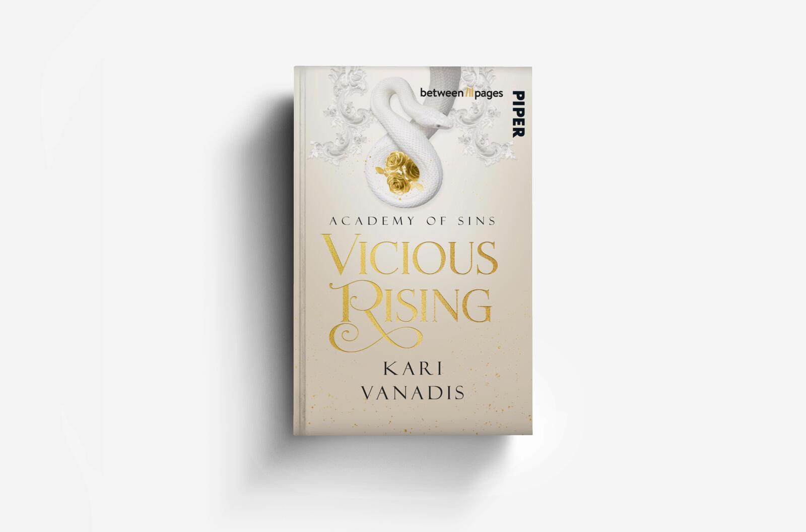 Beispielinhalt (Bild) Vicious Rising: Academy of Sins