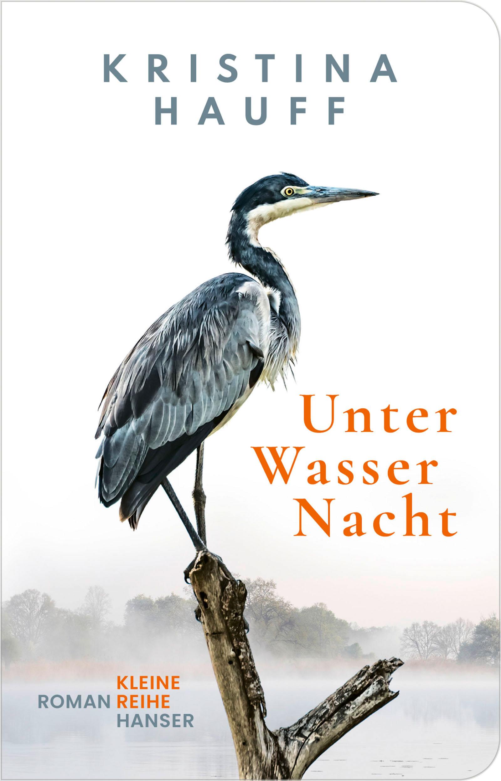 Vorderes Coverbild Unter Wasser Nacht