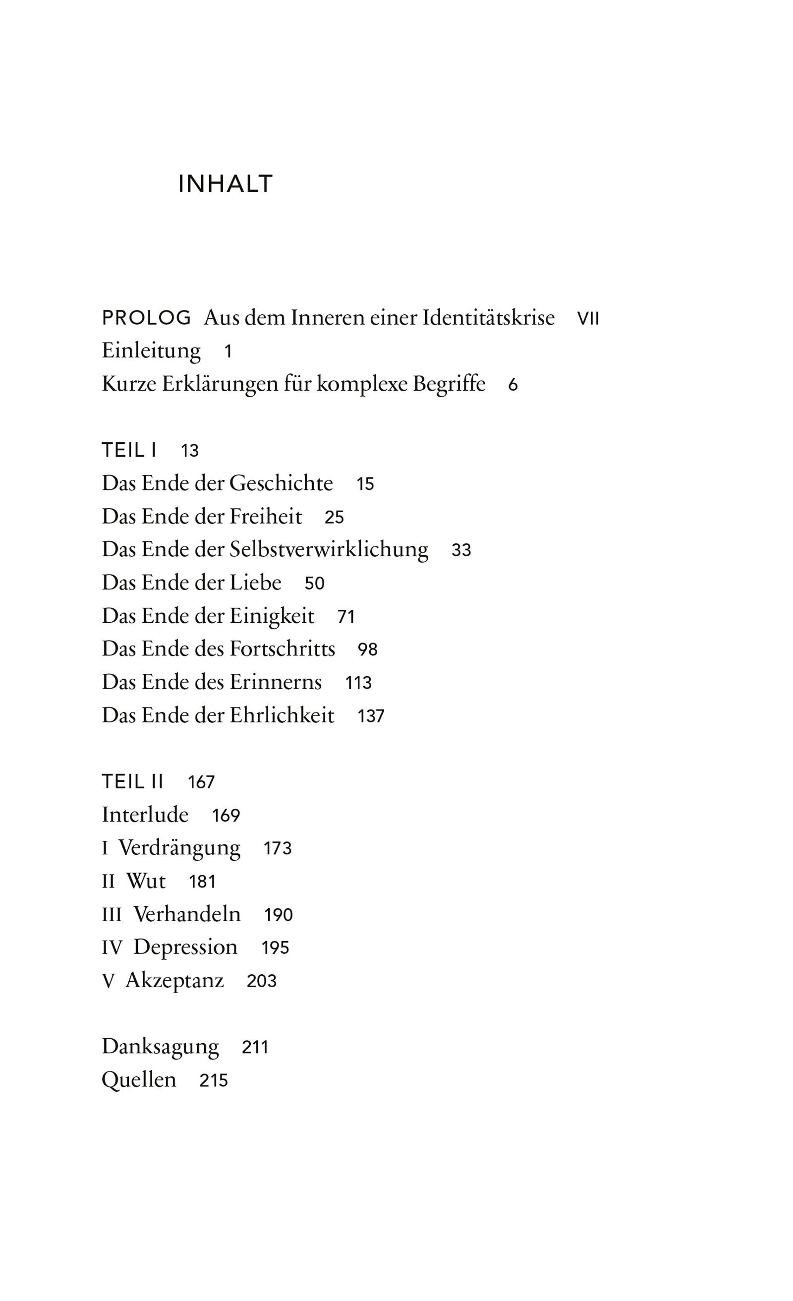 Beispielinhalt (Bild) Identitätskrise