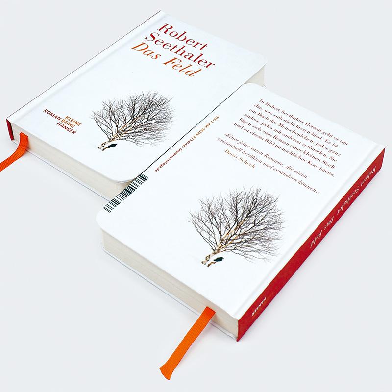 Beispielinhalt (Bild) Das Feld