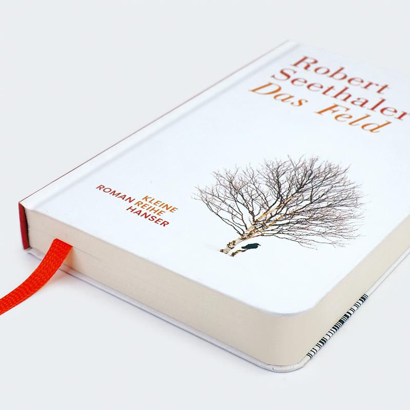 Beispielinhalt (Bild) Das Feld