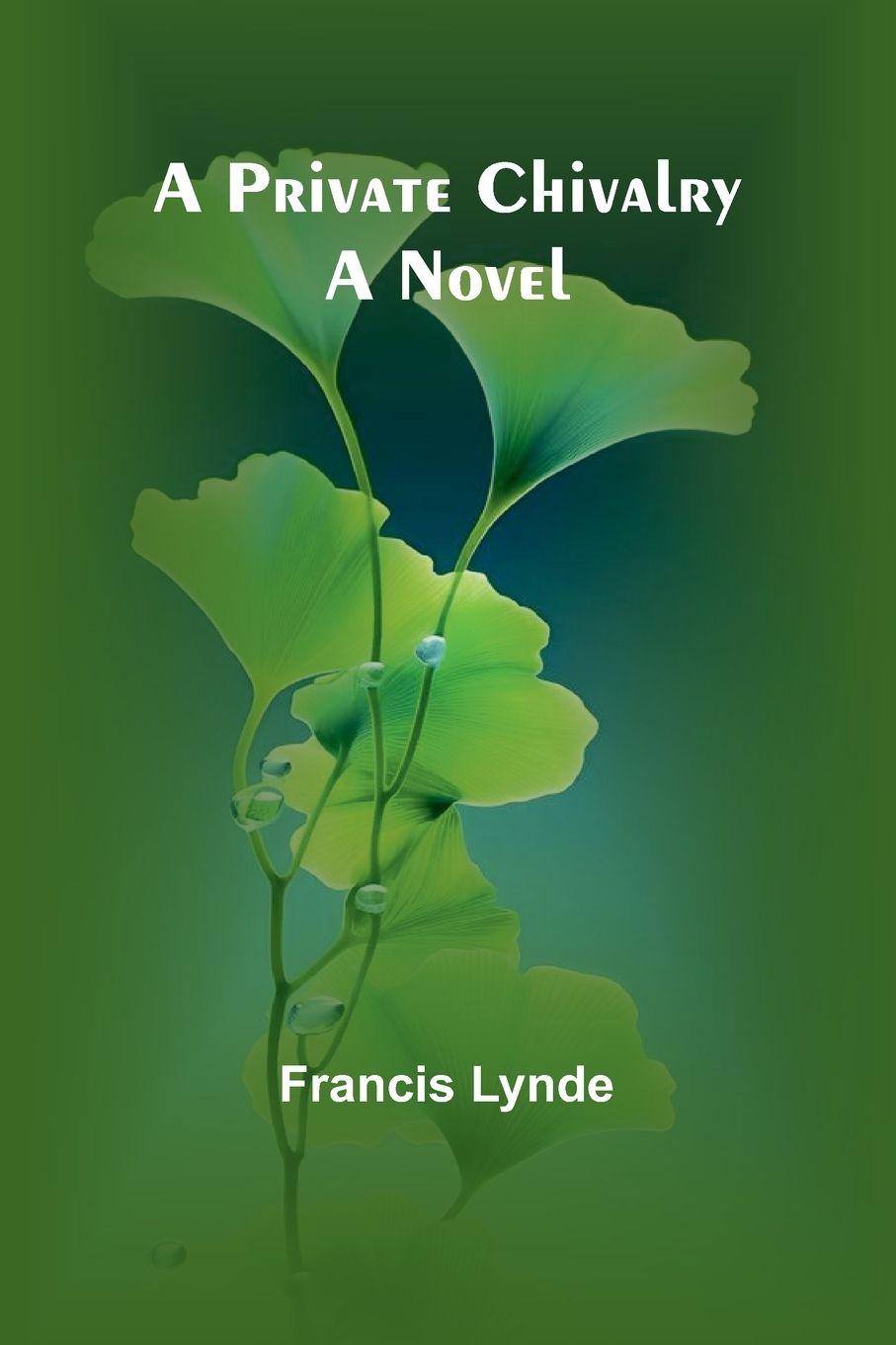 Vorderes Coverbild A private chivalry