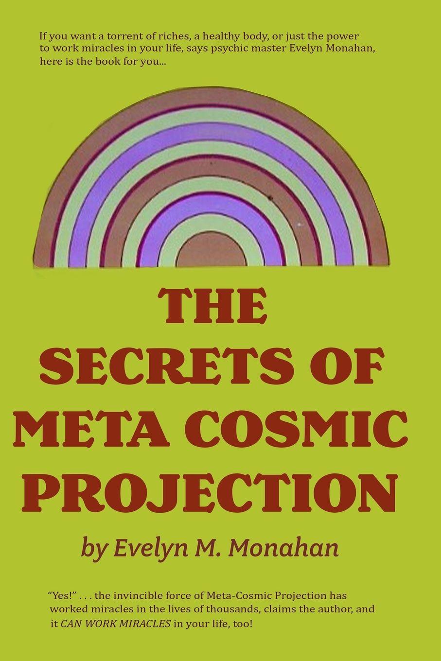 Vorderes Coverbild The Secrets of Meta-Cosmic Projection