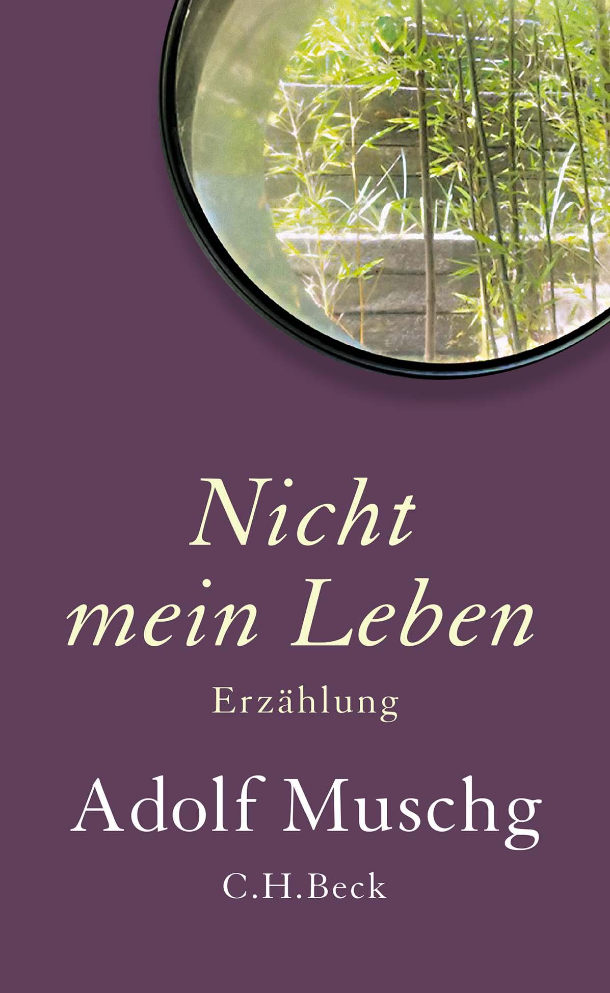 Vorderes Coverbild Nicht mein Leben