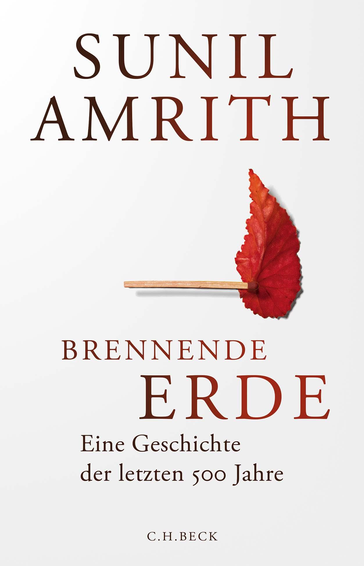 Vorderes Coverbild Brennende Erde