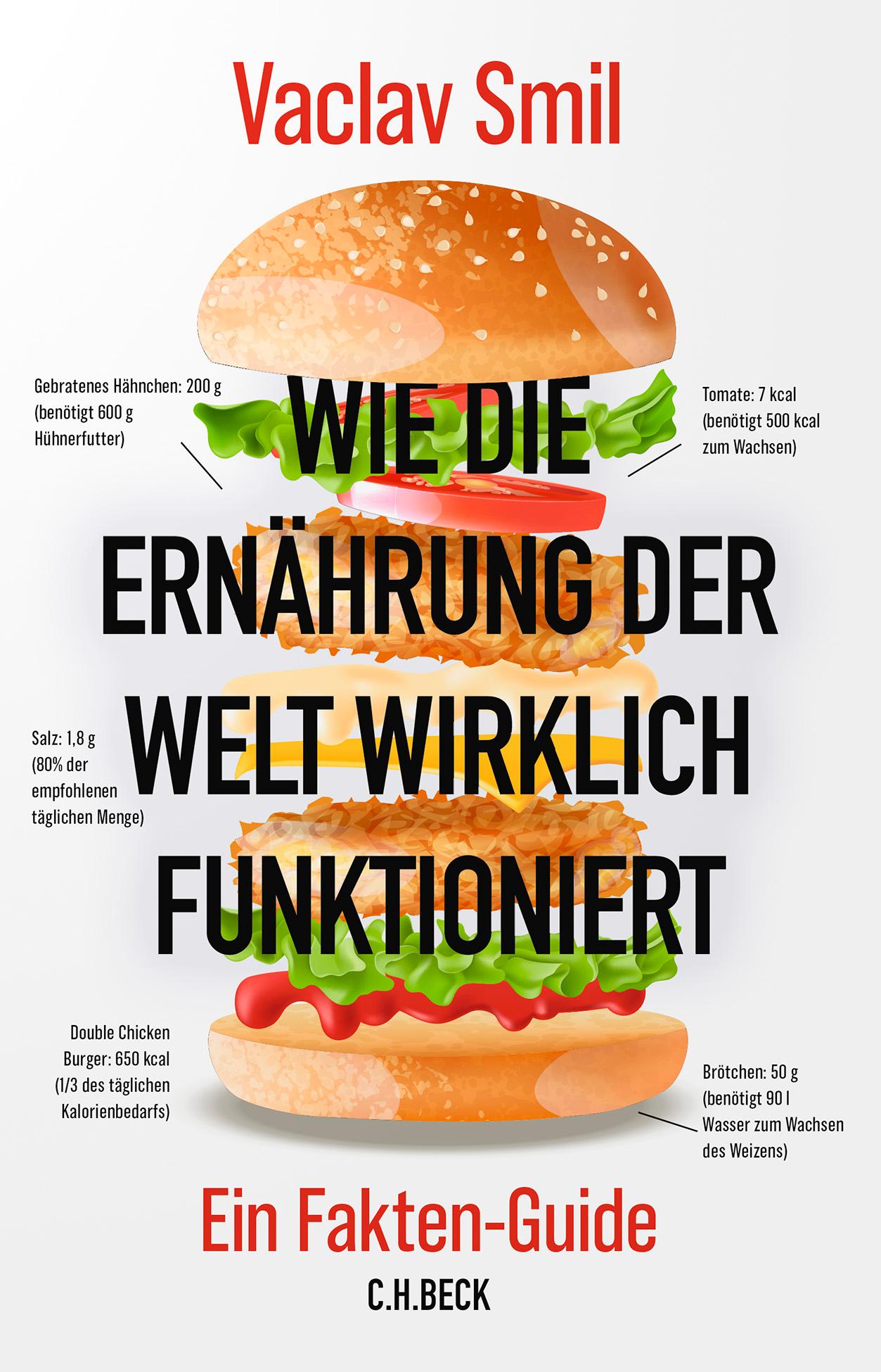 Vorderes Coverbild Wie die Ernährung der Welt wirklich funktioniert