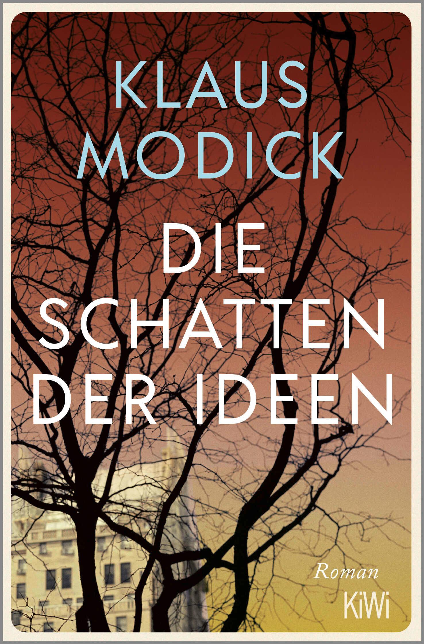 Vorderes Coverbild Die Schatten der Ideen