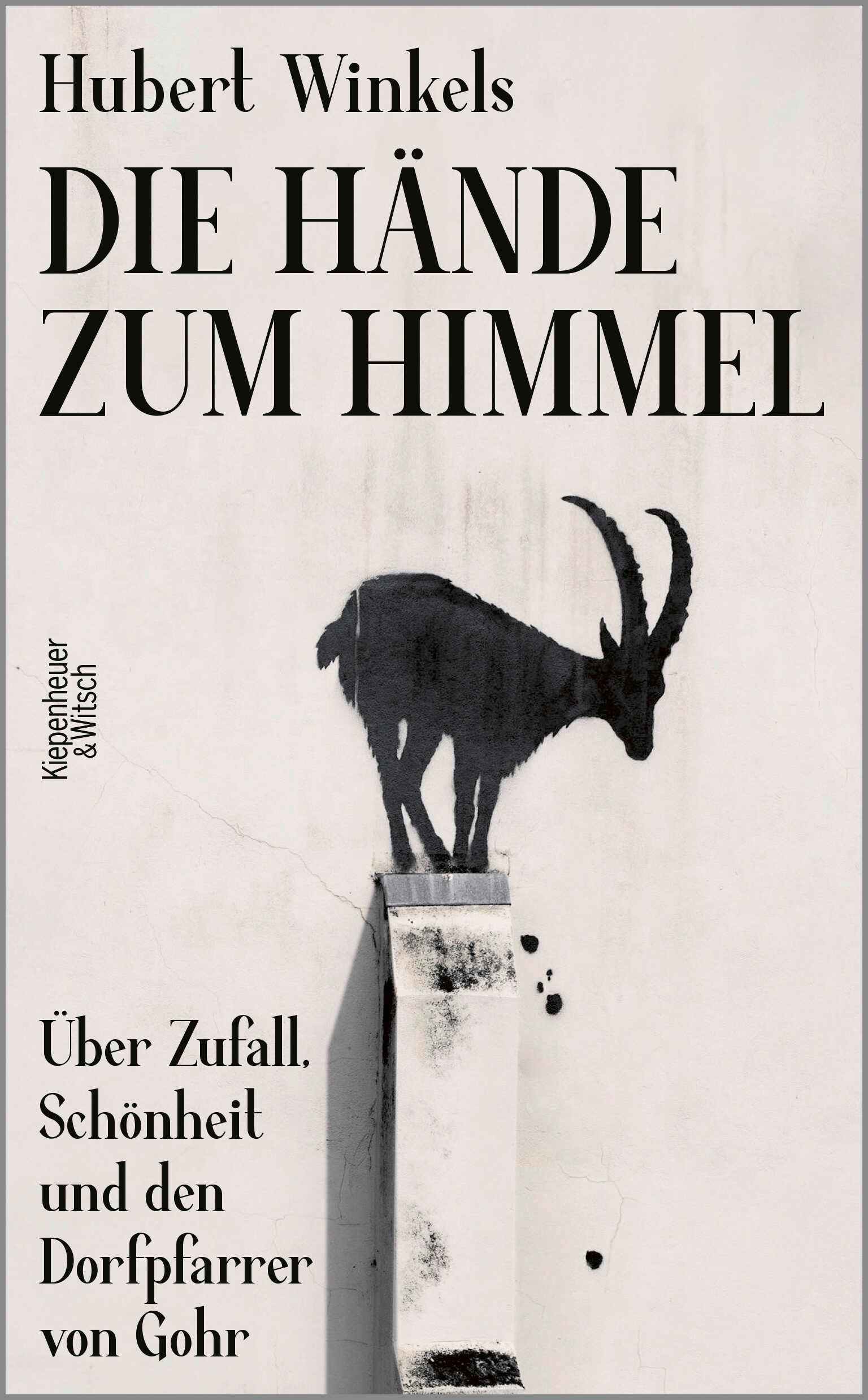 Vorderes Coverbild Die Hände zum Himmel