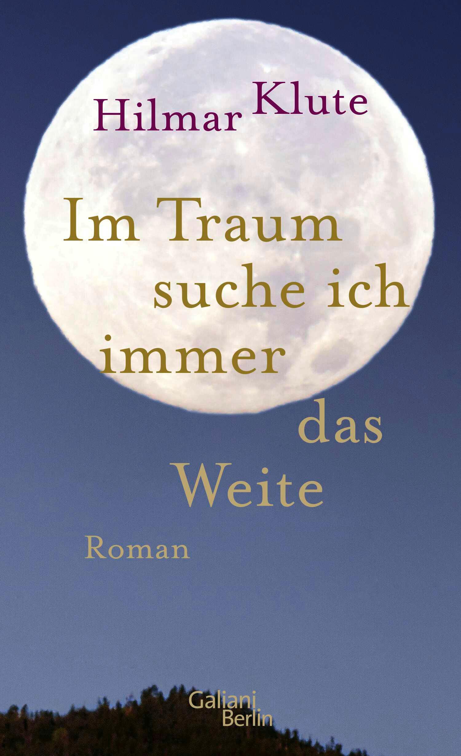 Vorderes Coverbild Im Traum suche ich immer das Weite