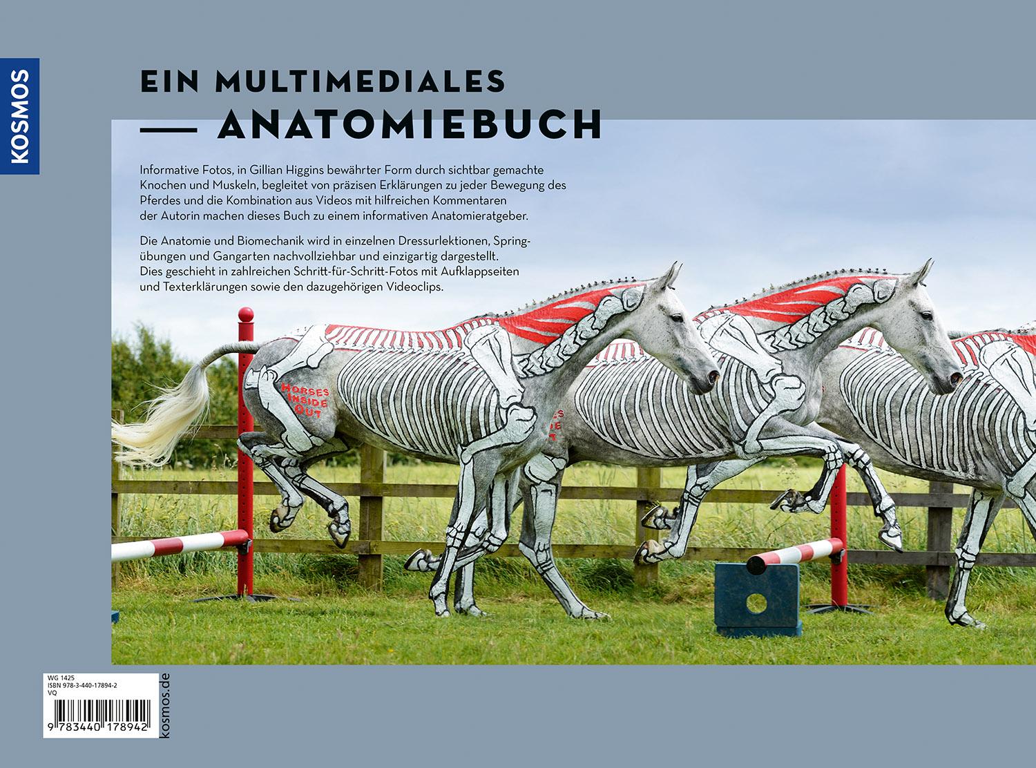 Beispielinhalt (Bild) Anatomie in Bewegung