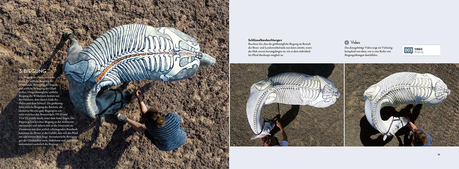 Beispielinhalt (Bild) Anatomie in Bewegung