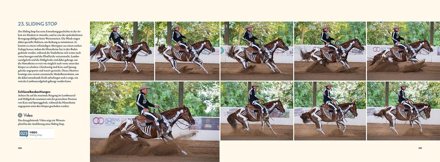 Beispielinhalt (Bild) Anatomie in Bewegung