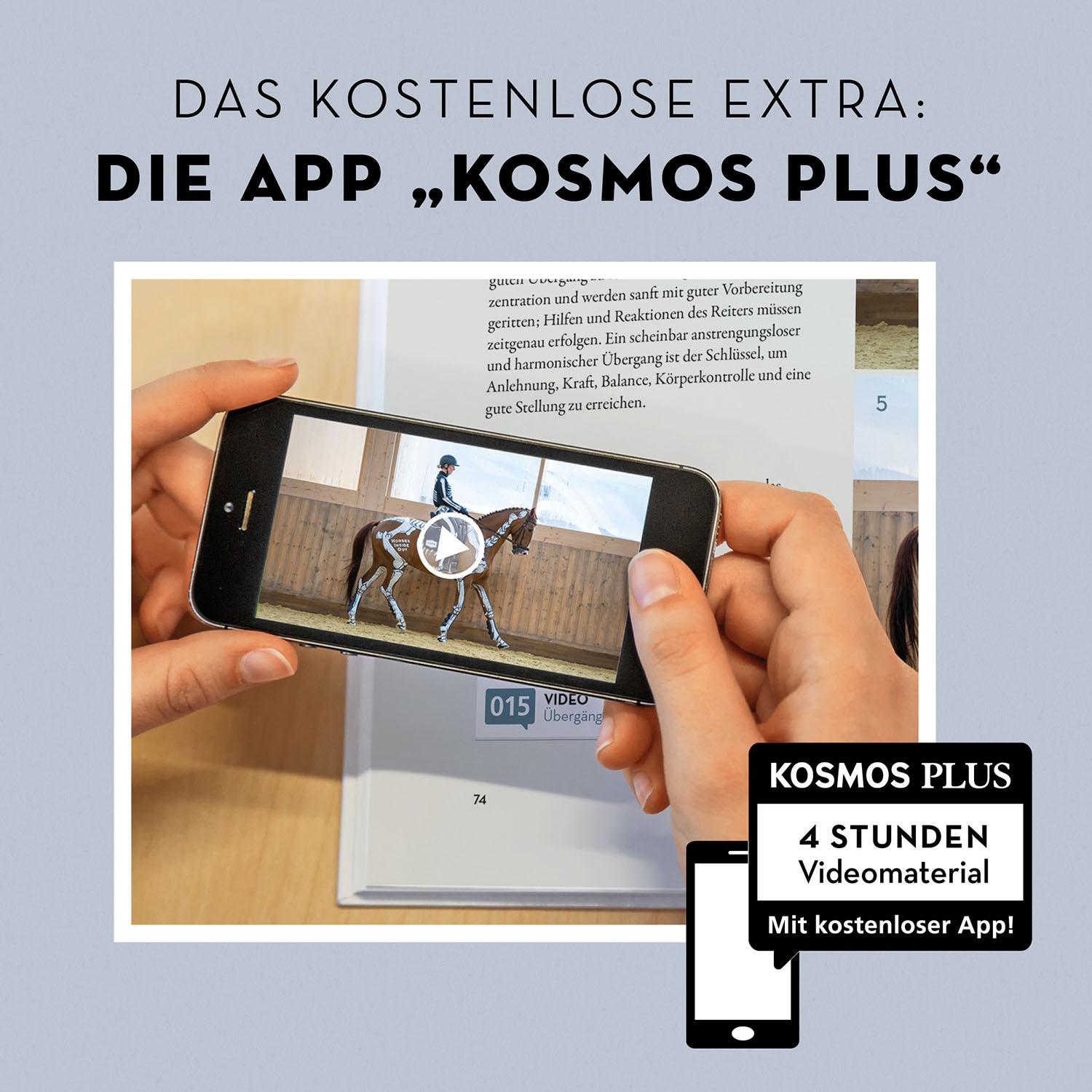 Beispielinhalt (Bild) Anatomie in Bewegung