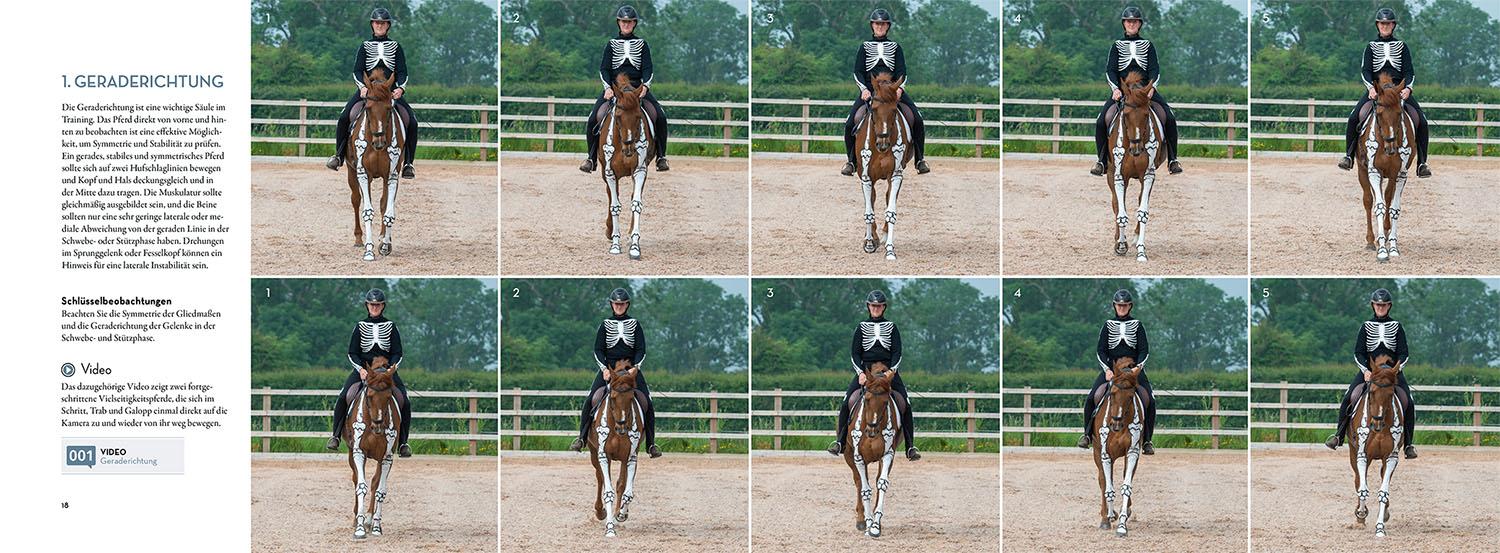 Beispielinhalt (Bild) Anatomie in Bewegung