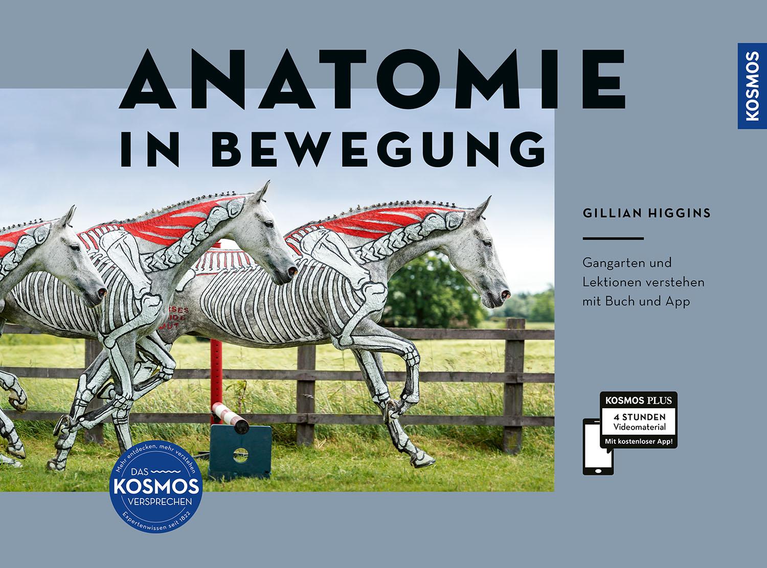 Vorderes Coverbild Anatomie in Bewegung