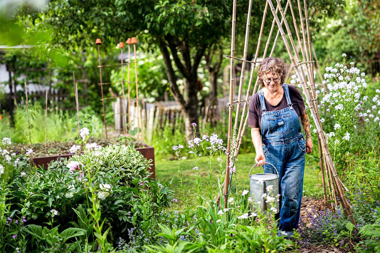Beispielinhalt (Bild) Blumen, Kohl & Rock'n'Roll