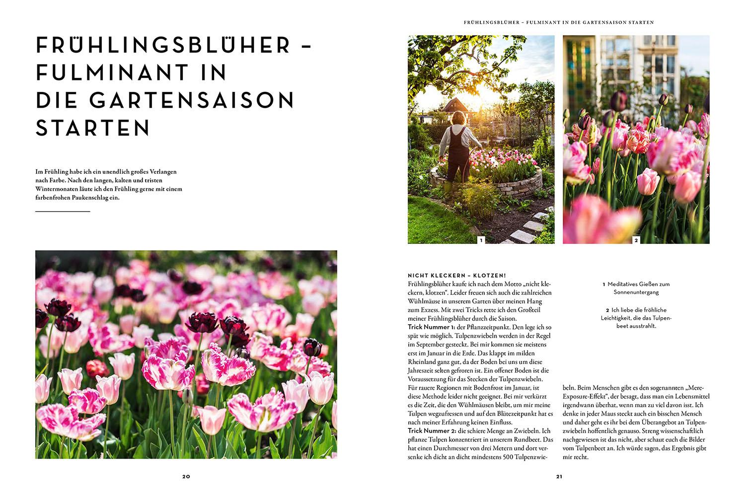 Beispielinhalt (Bild) Blumen, Kohl & Rock'n'Roll